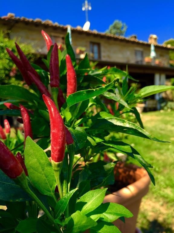 Poggio Paradiso Apartments Mengara Ruang foto